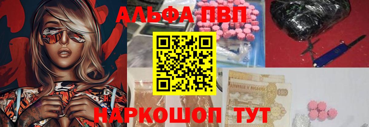 A PVP СК КРИС Краснодар