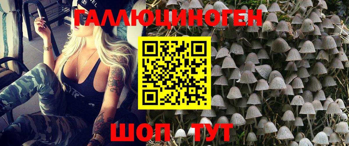 Псилоцибиновые грибы ЛСД Краснодар